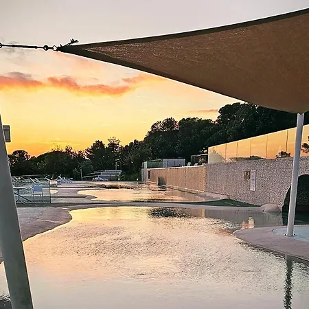 Apartment 262 Mobile